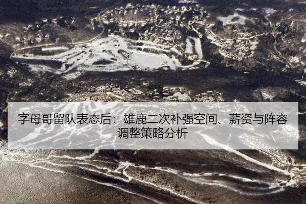 zi-mu-ge-liu-dui-biao-tai-hou-xiong-lu-er-ci-bu-qiang-kong-jian-xin-zi-yu-zhen-rong-tiao-zheng-ce-lve-fen-xi-2-119.jpg